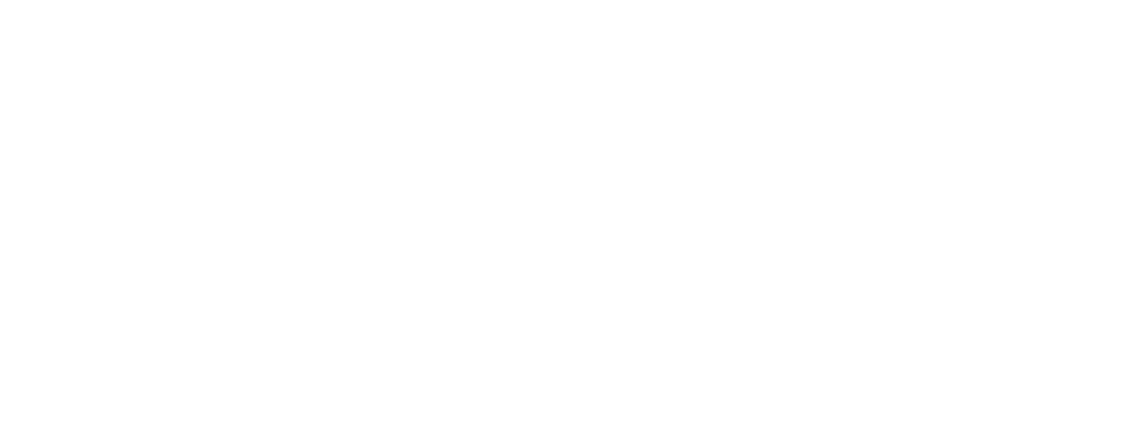 thenice Design Logo weiß