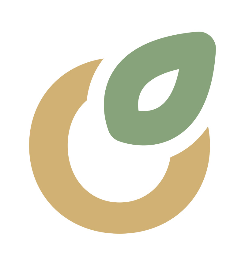 Vivellon Icon